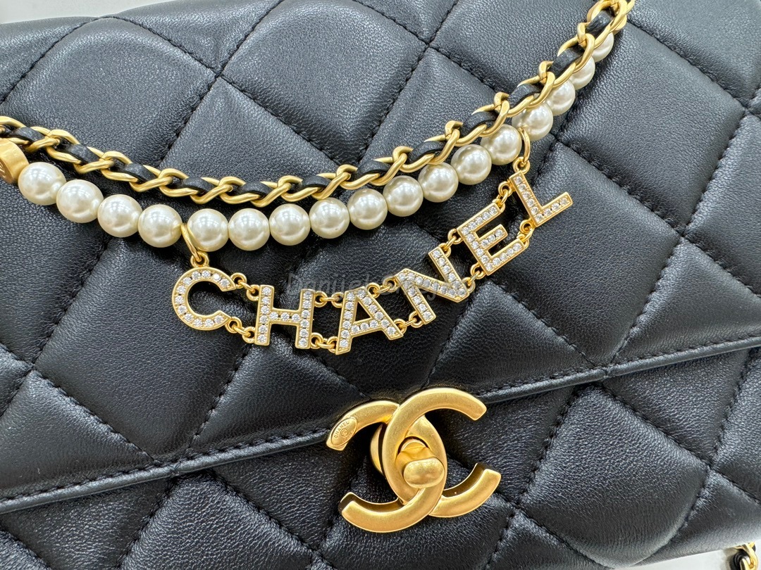 Chanel Hobo Handbag 22cm