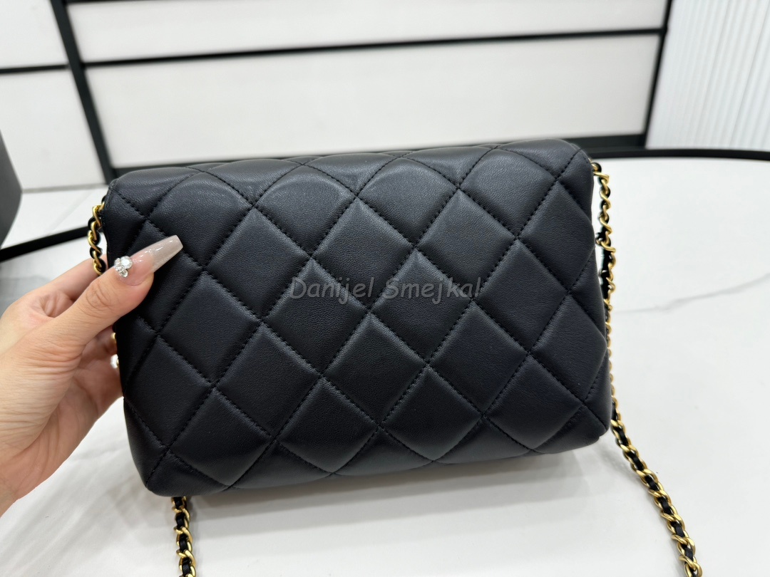 Chanel Hobo Handbag 22cm
