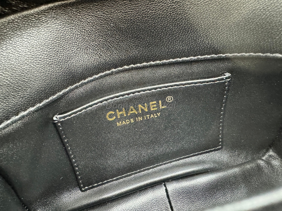 Chanel Hobo Handbag 22cm