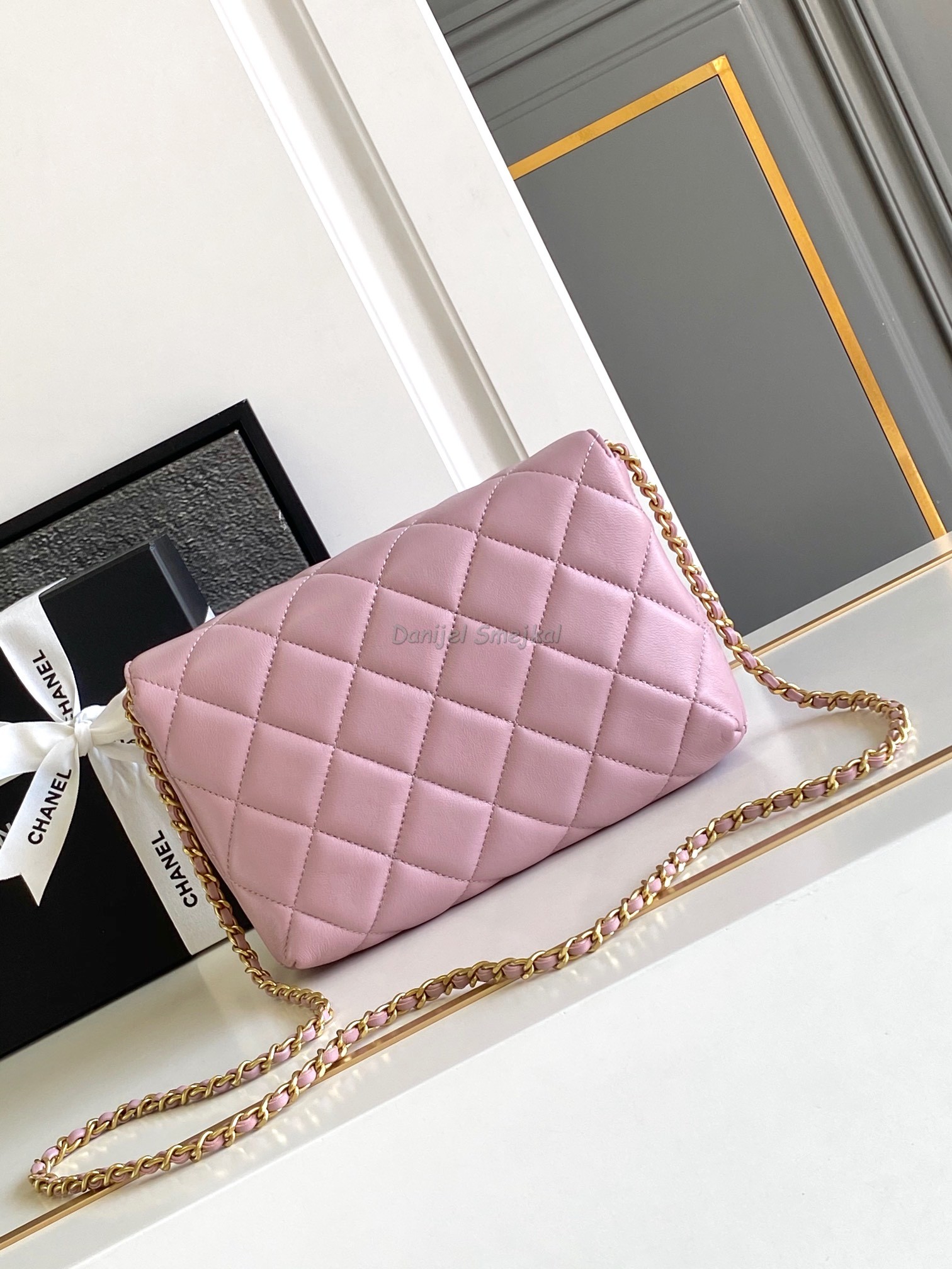 Chanel Hobo Handbag 22cm