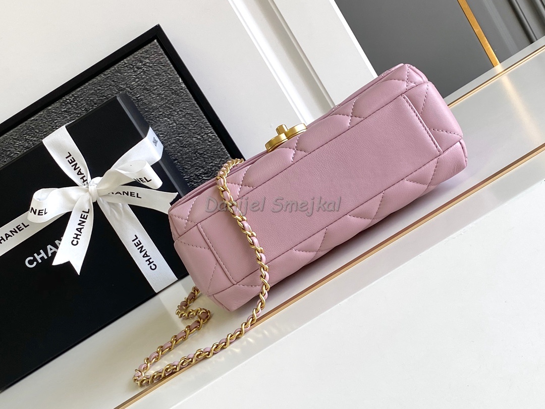 Chanel Hobo Handbag 22cm