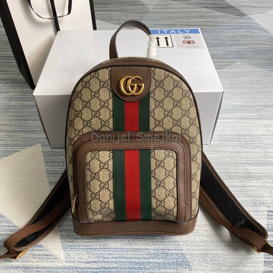 Gucci 547965 Backpack 29cm