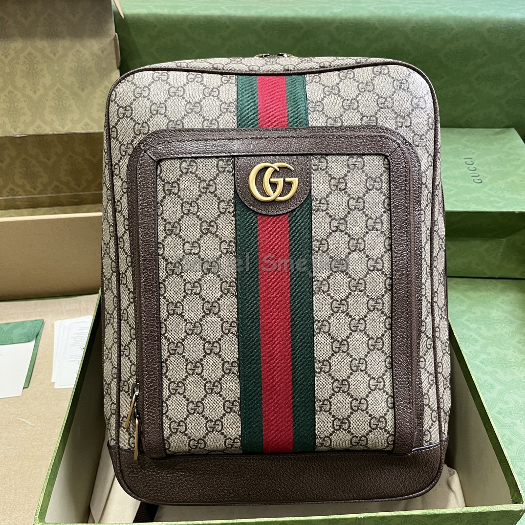 Gucci 745718 Backpack 40cm