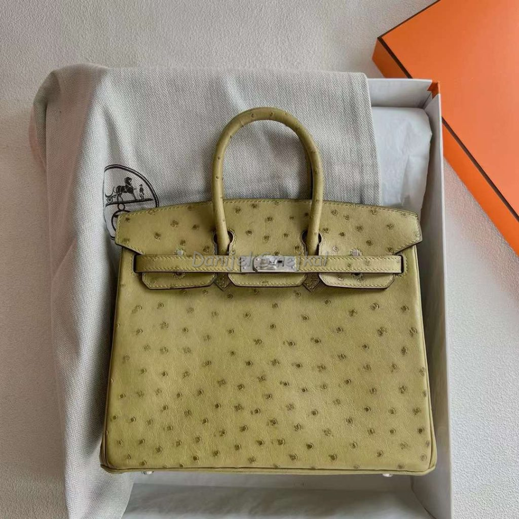 Hermes Birkin Ostrich 6G lawn green Silver Hardware 25cm