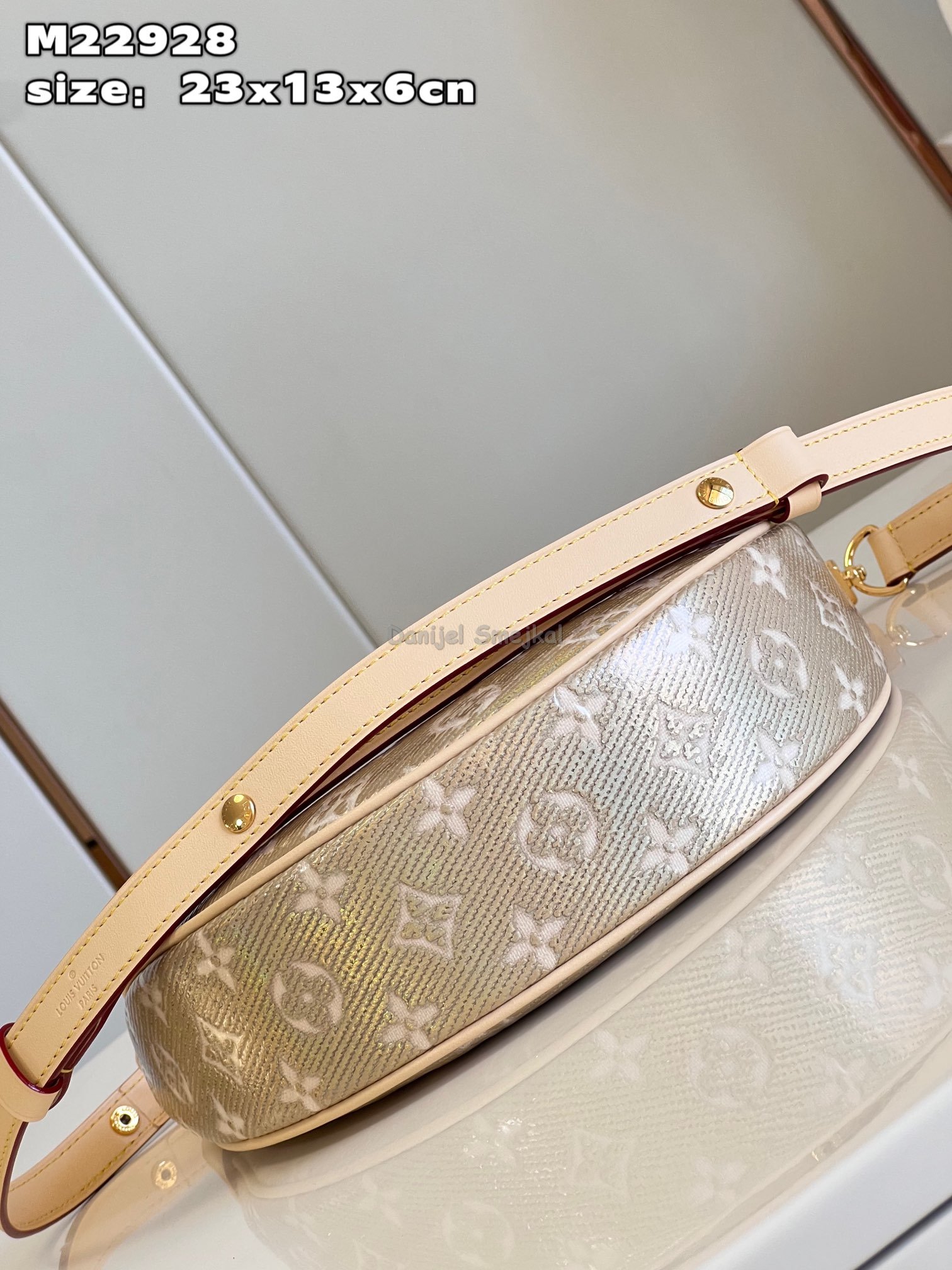 Louis Vuitton M22928 Loop Monogram 23cm