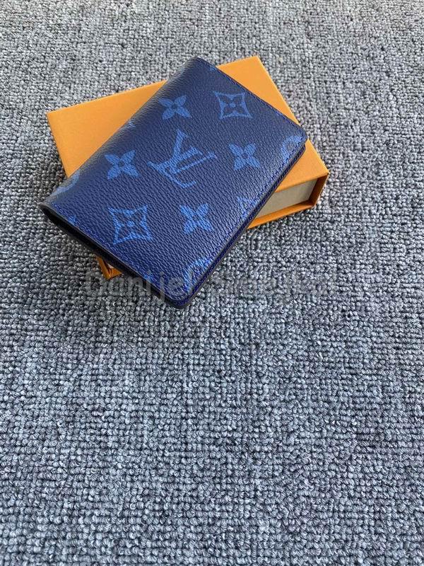 Louis Vuitton Multiple Monogram Canvas 